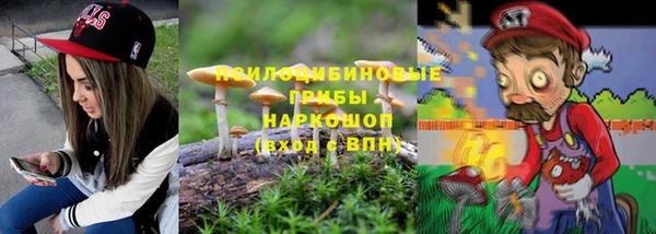 бошки Алексин