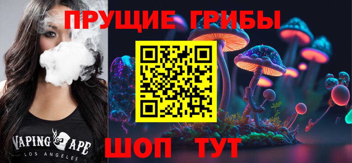 Петрозаводск  Галлюциногенные грибы Magic Shrooms  Вход с VPN  Псилоцибиновые грибы Psilocybe 