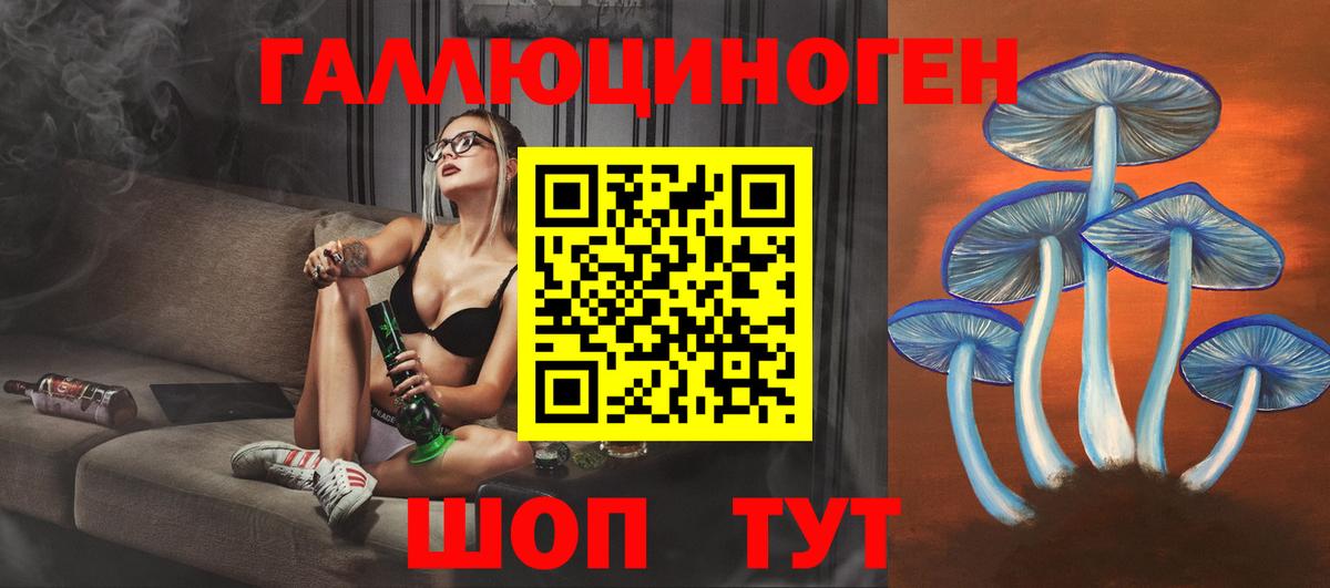 Галлюциногенные грибы прущие грибы Петрозаводск